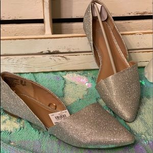 Stunning Silver Flats 🥿